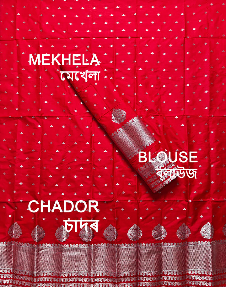 Silver Jari Mix Set Mekhela Sador